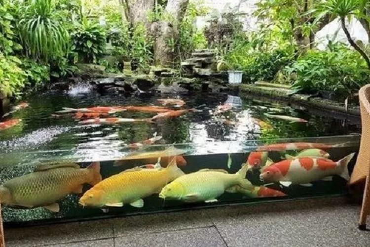 Kolam Ikan Koi